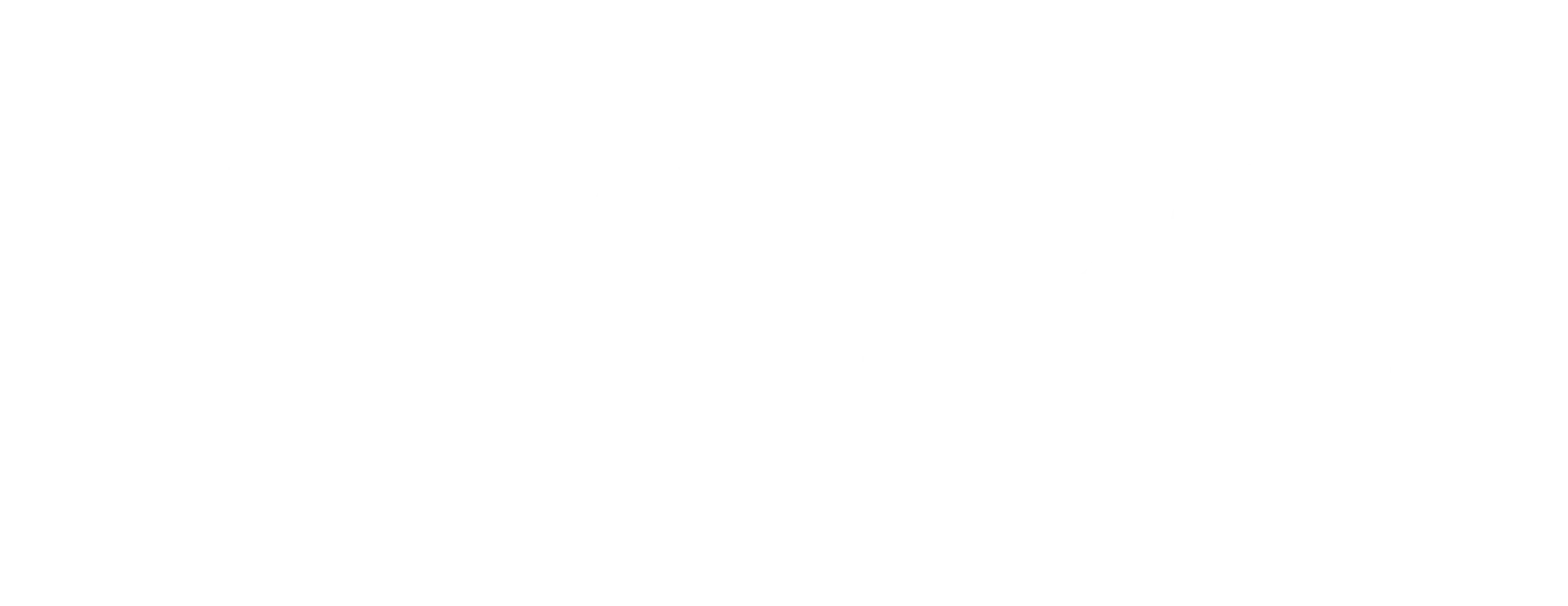 Logo Reverse bianco